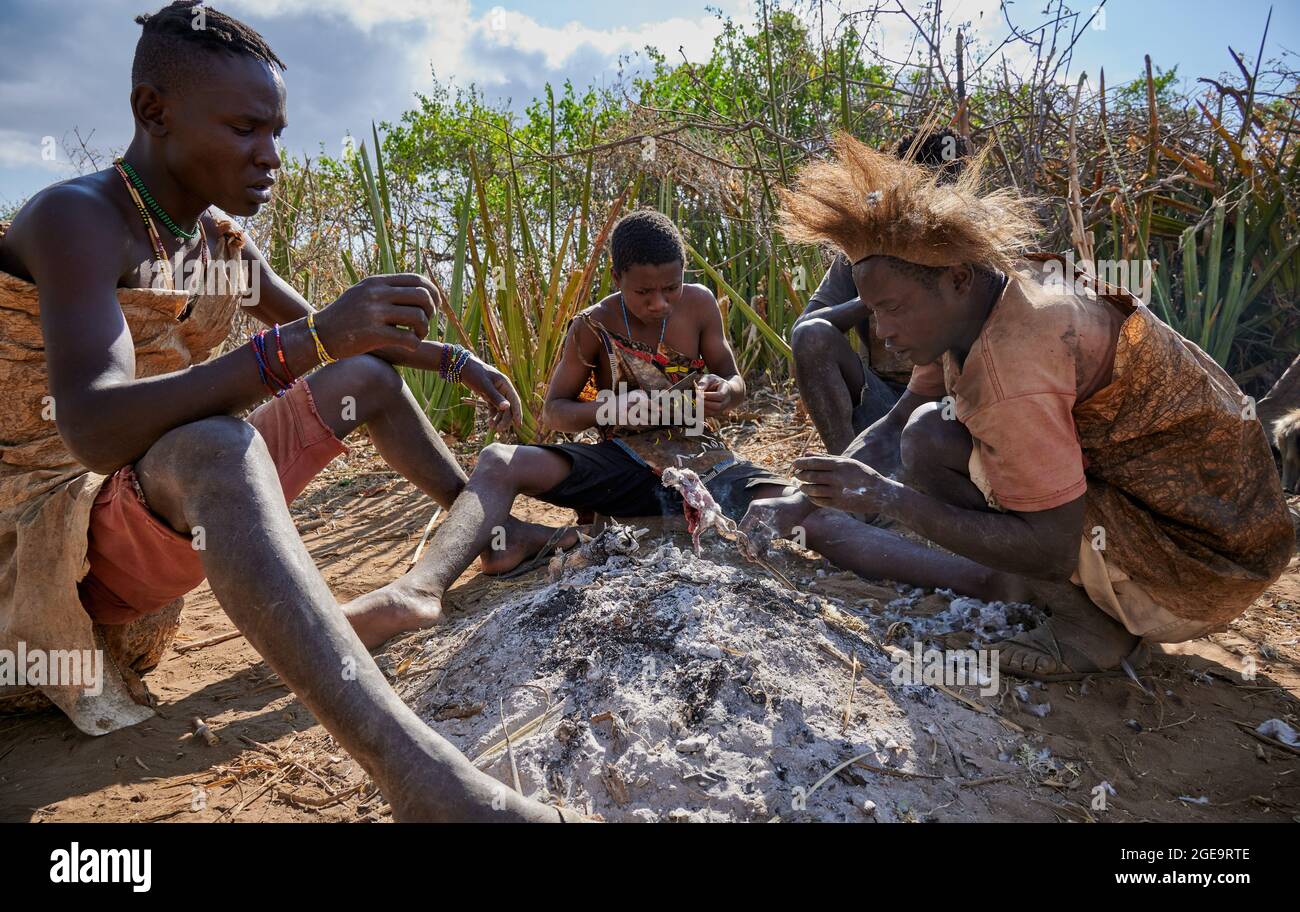 bushmen of Hadzabe tribe sitting around a fireplace and broiling a bird ...