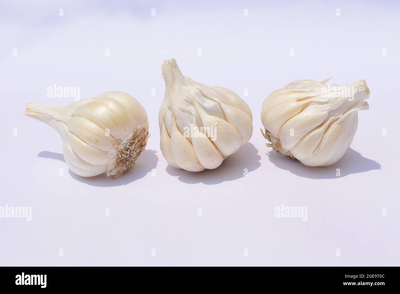 Three garlic bulbs on white background. Stock Photo