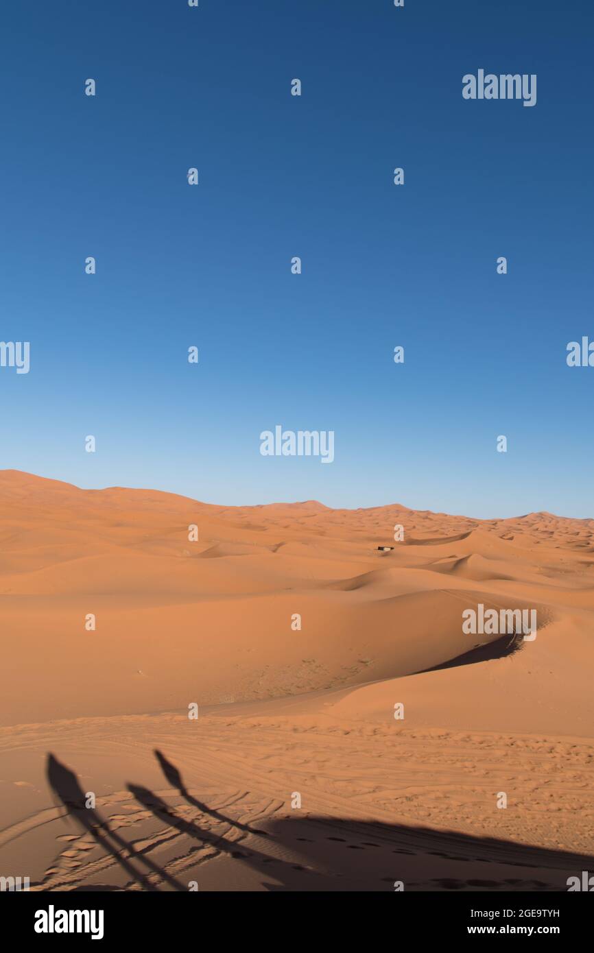 Vertical shot of sand dunes in the Sahara desert in Morocco Stock Photo ...