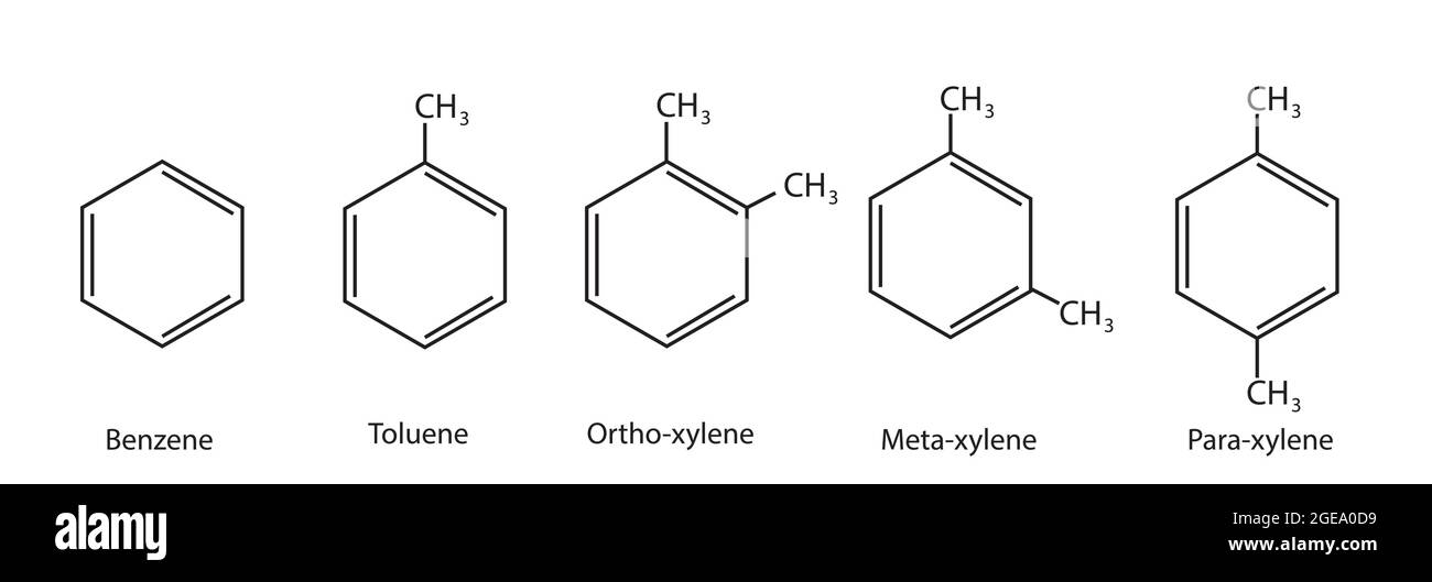 Benzene, Benzene, toluene, ortho-xylene, meta-xylene, para-xylene, Chemical Structure of CH3 and benzene derivatives Stock Vector