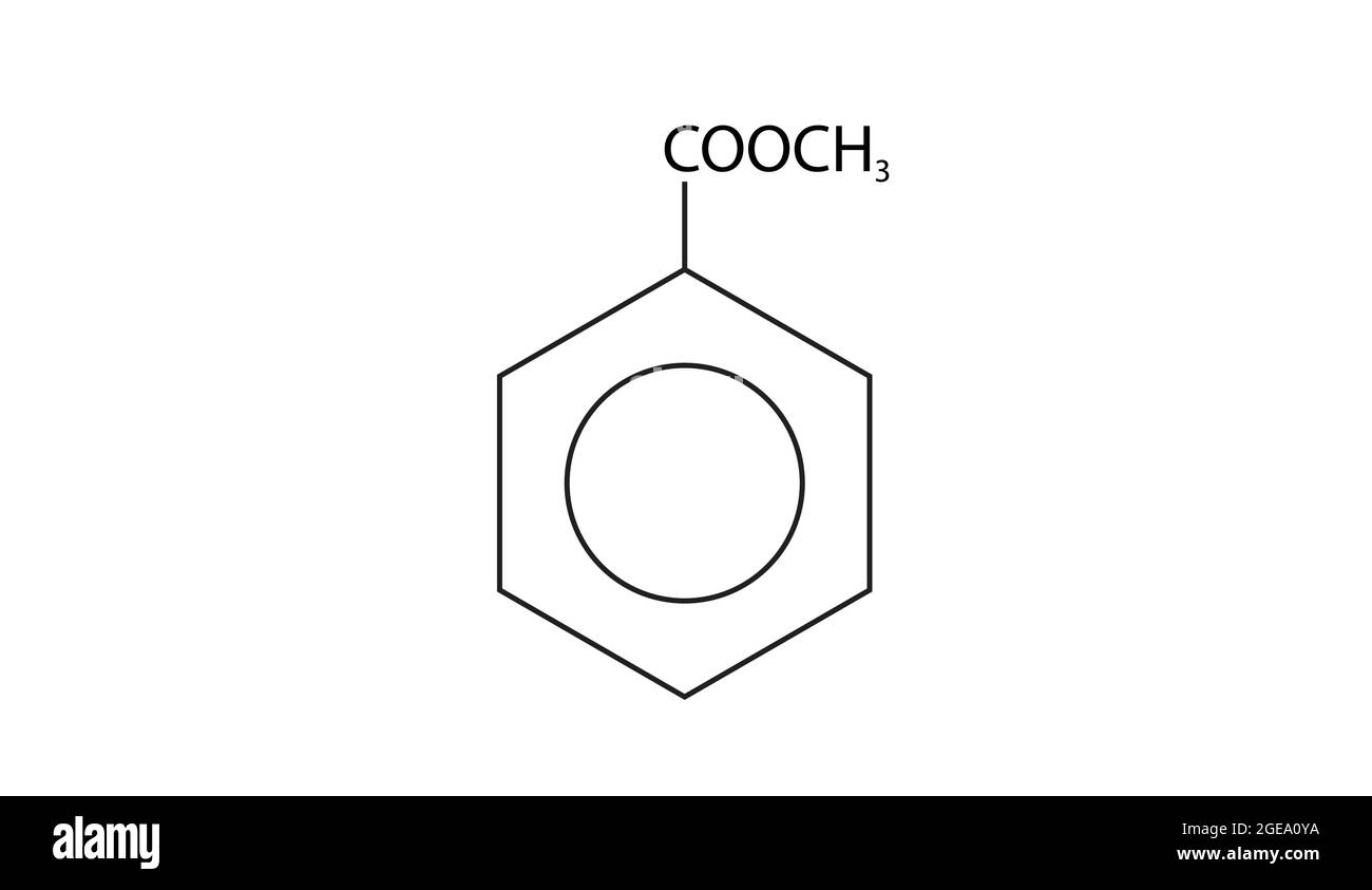 Chemical Structure of Methyl benzoate, Anatomy Of Methyl benzoate