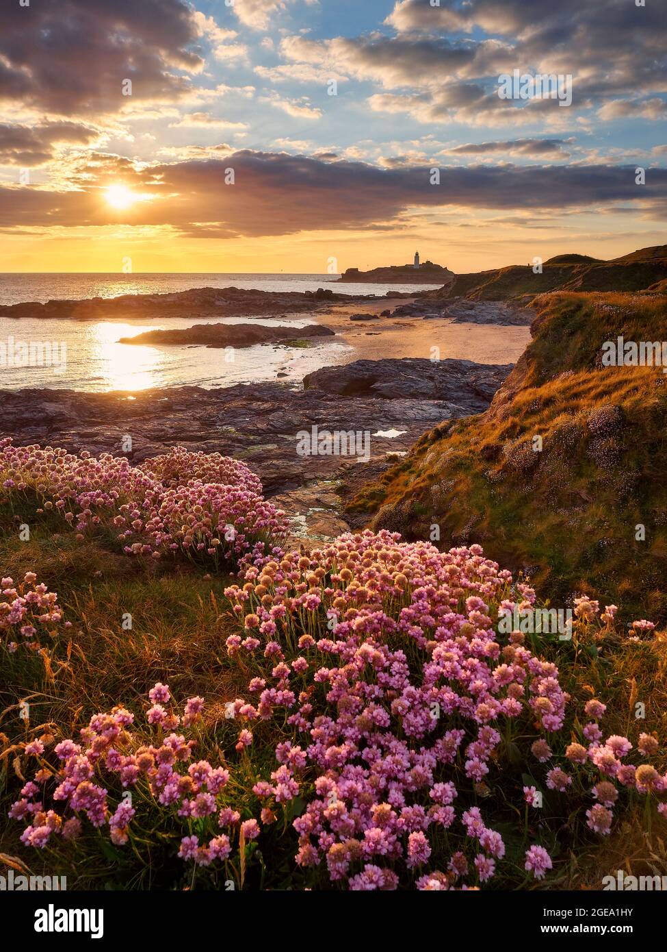 Sea Pink covered cliffs looking out to sea at sunset. Stock Photo