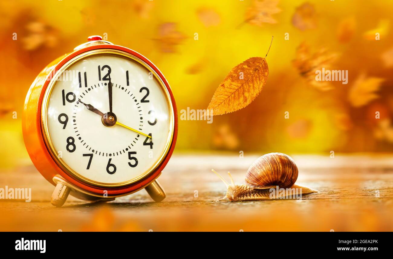 Orange alarm clock with snail and falling leaves. Daylight savings time ...