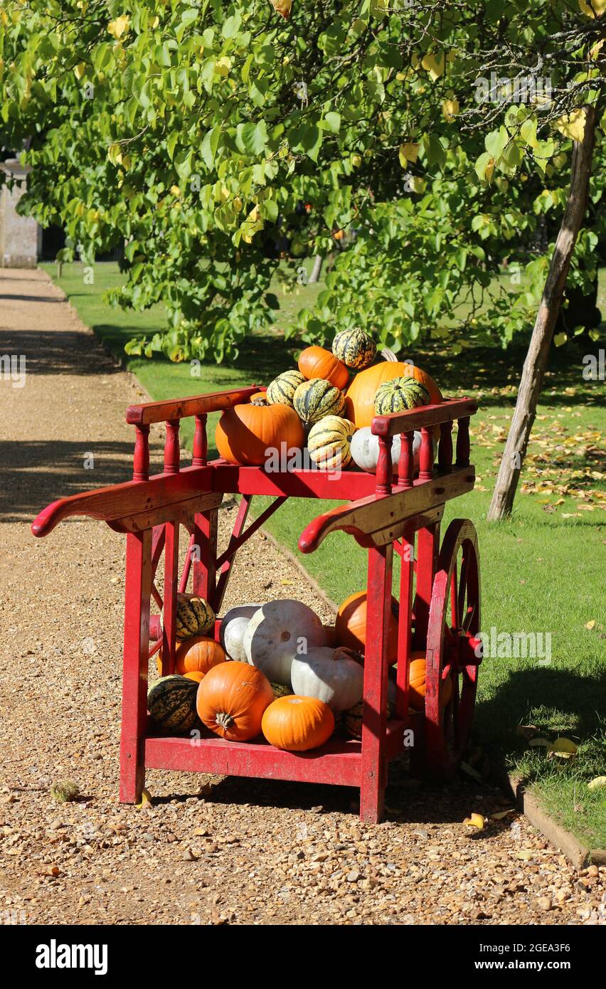 A red cart in the garden full of pumpkins and gourds Stock Photo
