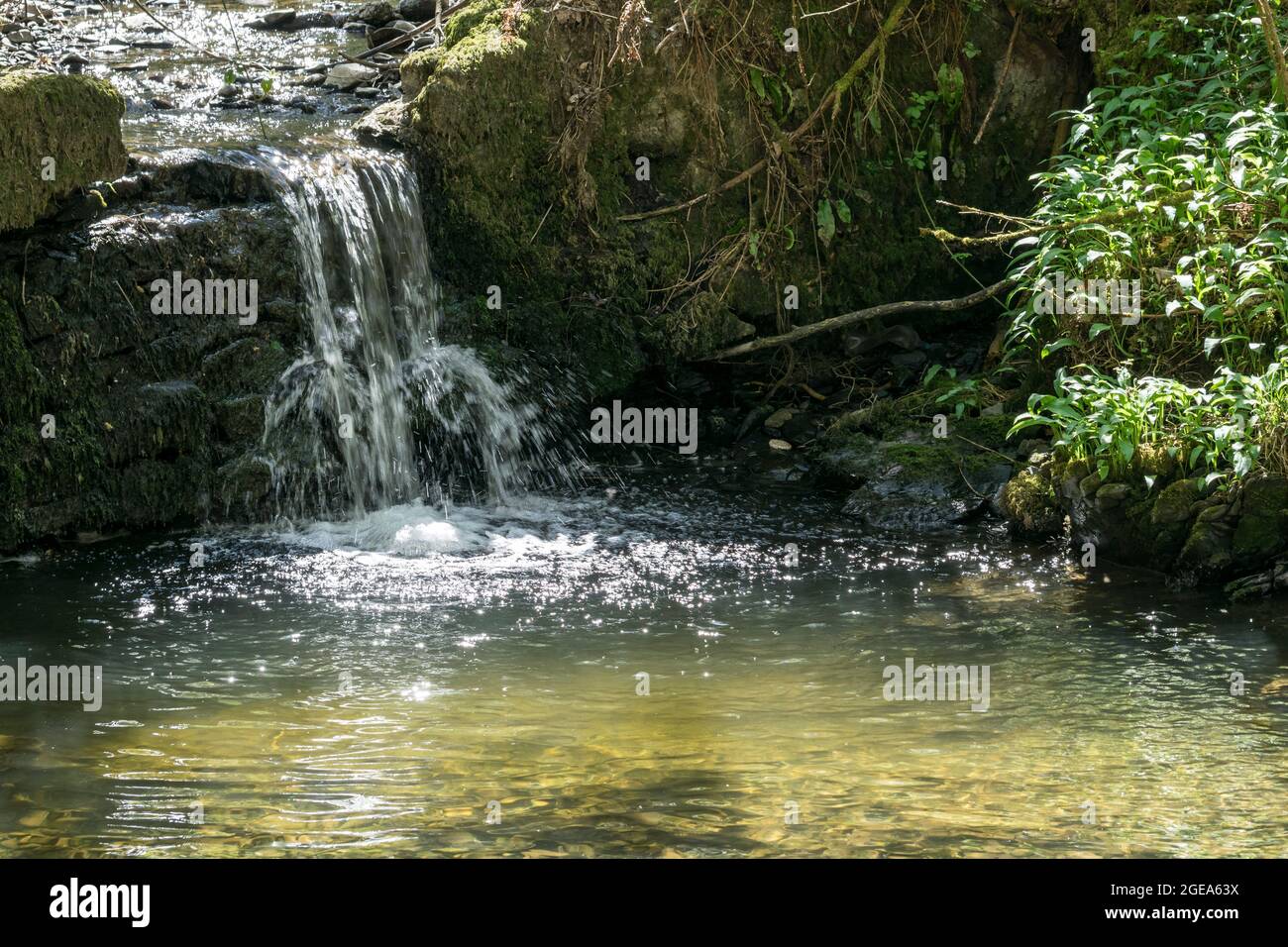 Woodland waterfall hi-res stock photography and images - Alamy