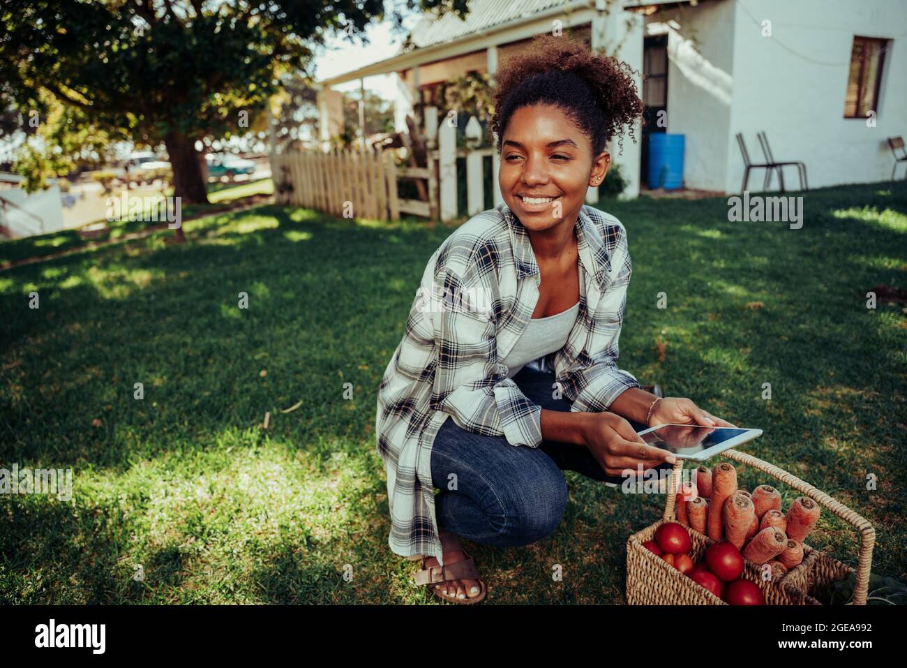 Mixed race female crouching down next to basket of fresh vegetables researching nutritional information on digital tablet  Stock Photo
