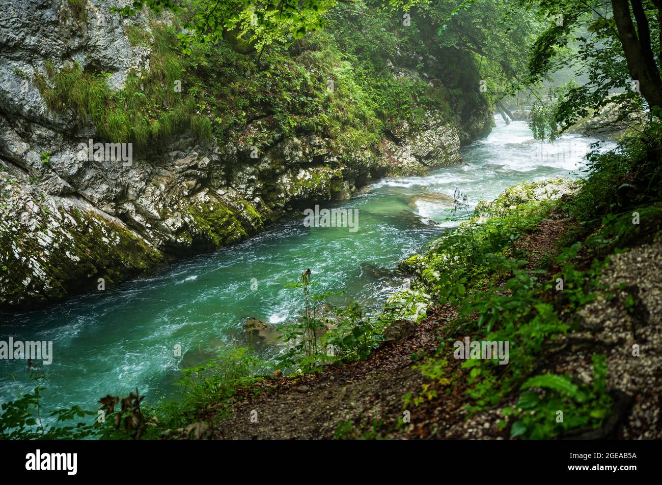 Stream fresh clear water hi-res stock photography and images - Alamy