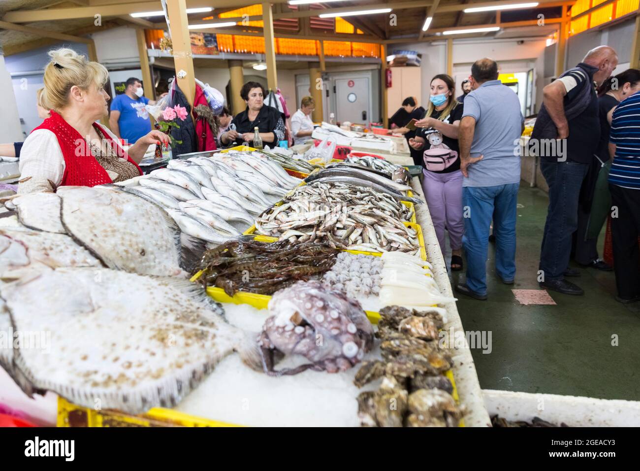 Fresh seafood market in Batumi Live fish in ice. Flounder, red
