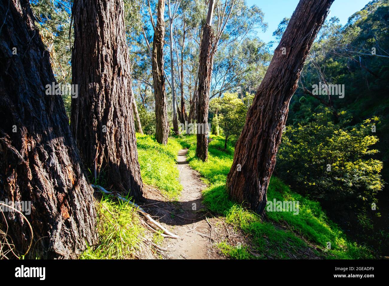 Plenty Parklands in Australia Stock Photo Alamy