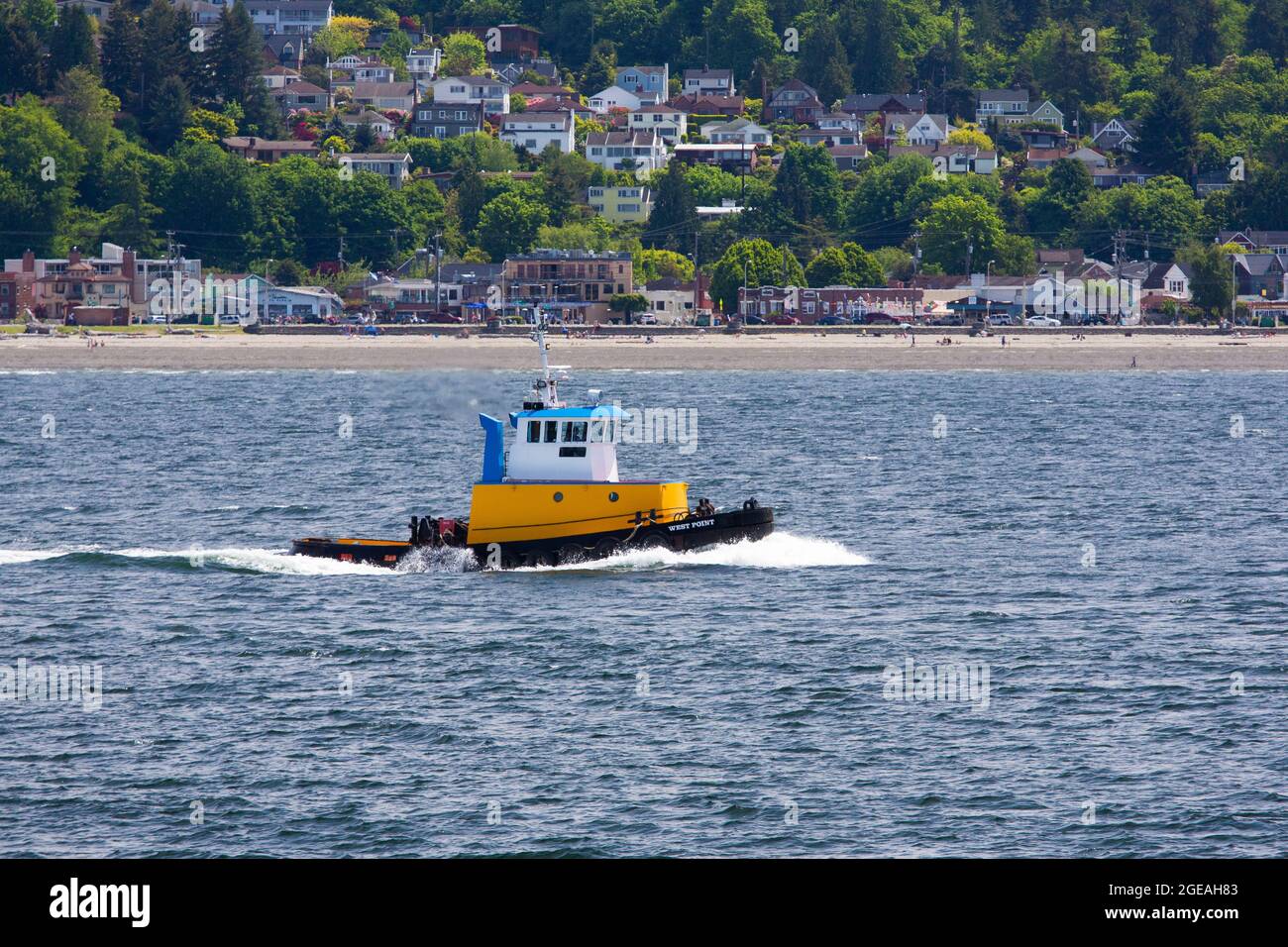 Tug West Point speeding across Elliot Bay near Seattle, Washington State, USA [Editorial licensing only] Stock Photo