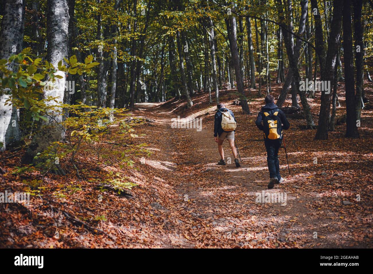 Hispanic young man trekking hi-res stock photography and images - Alamy