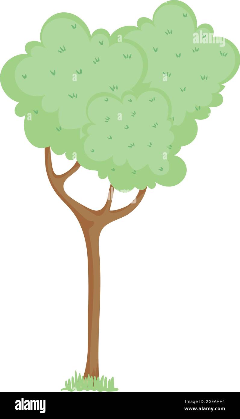 tree garden plant Stock Vector Image & Art - Alamy