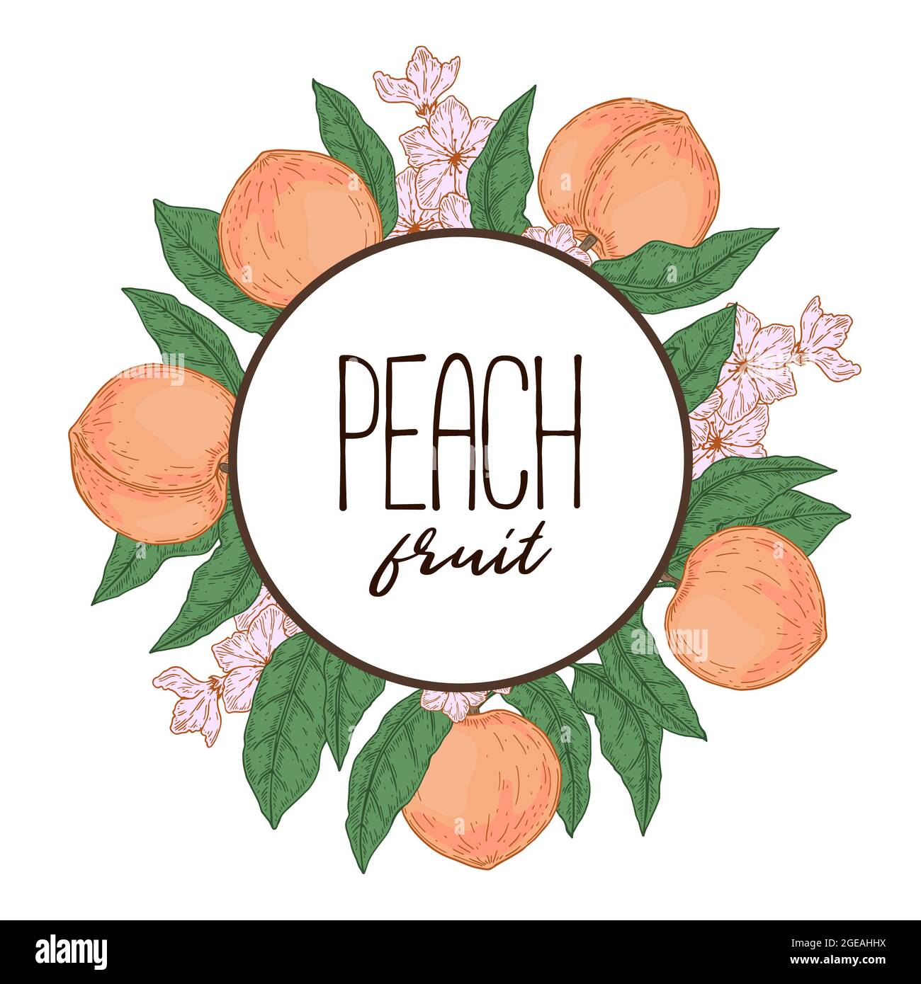 Hand drawn peach frame. Vector illustration in sketch style Stock ...