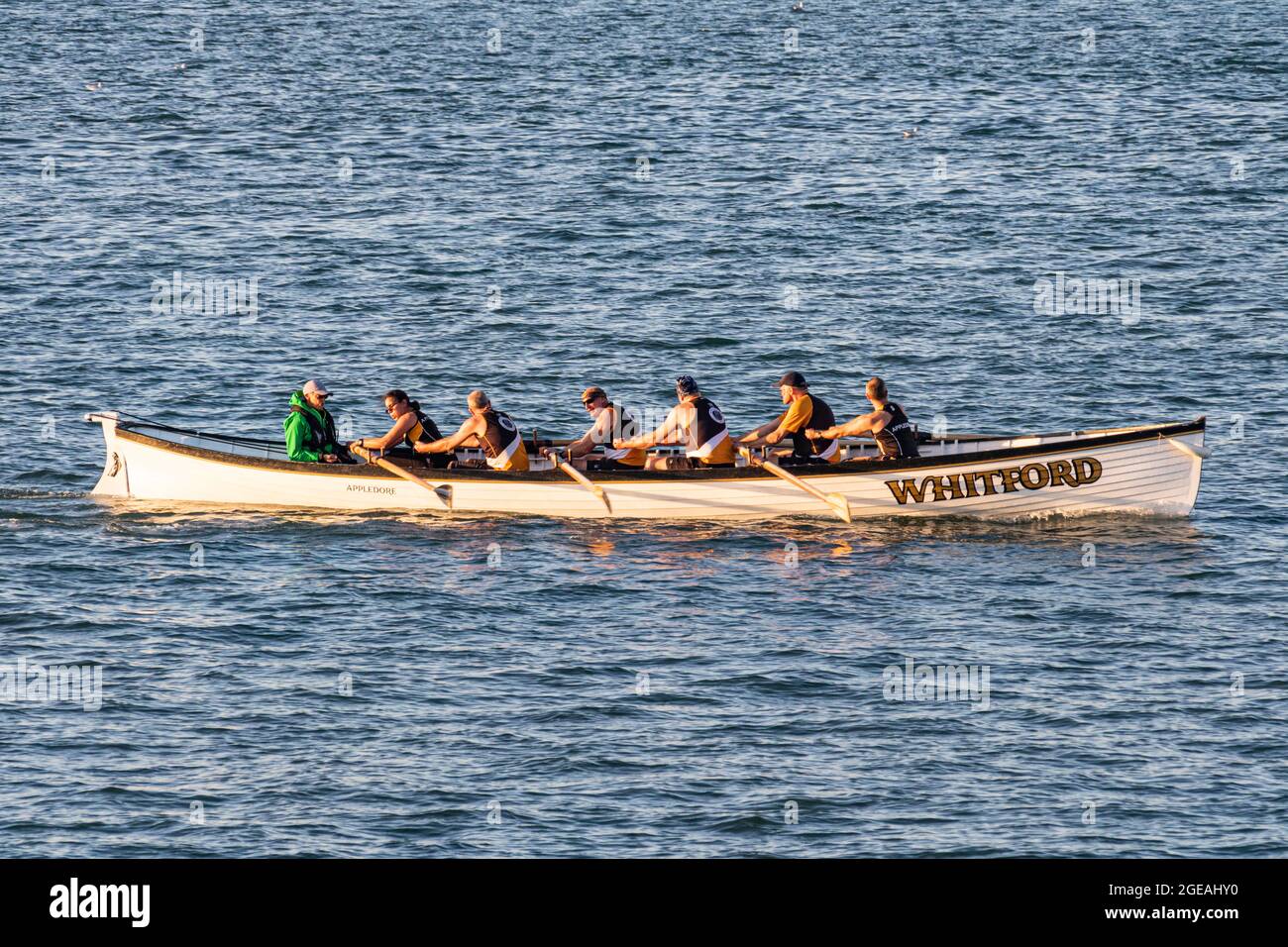 Evening View of the Appledore Gig Racing Boat ‘Whitford’ and Team Racing on the River Torridge. Stock Photo