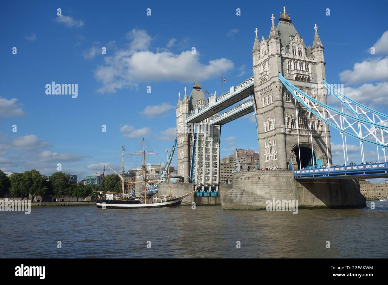 Pelican of London, River Thames, London , UK Stock Photo