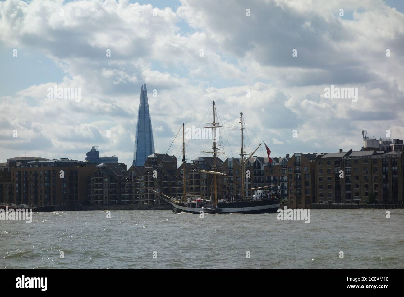 Pelican of London, River Thames, London, UK Stock Photo