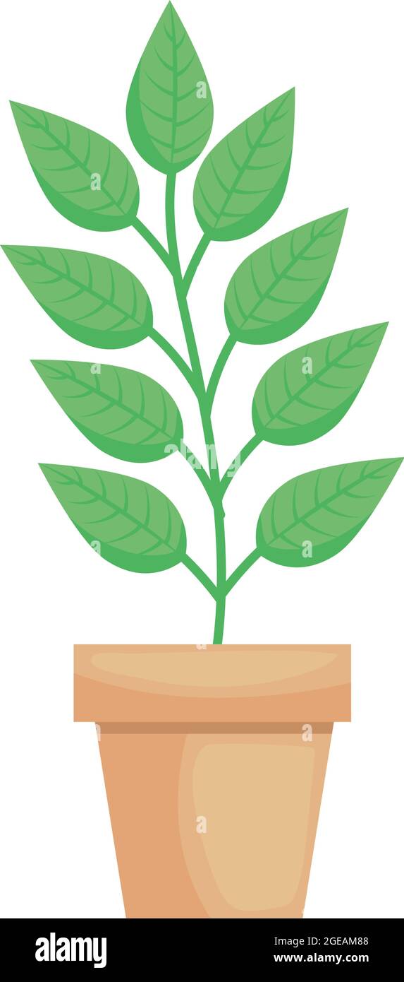 houseplant in ceramic pot Stock Vector Image & Art - Alamy