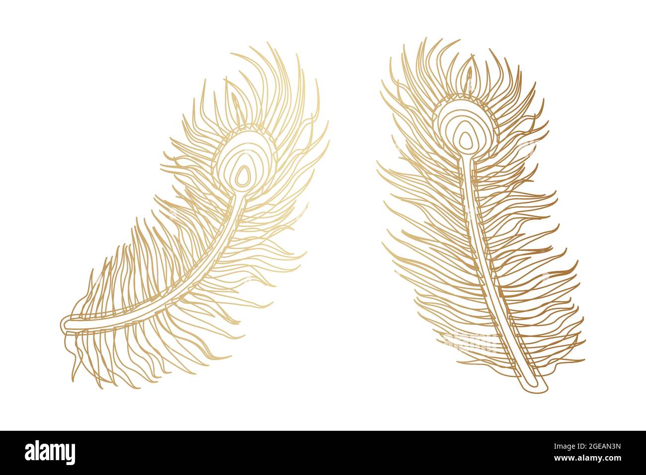 Gold Feathers Stock Illustrations – 10,818 Gold Feathers Stock