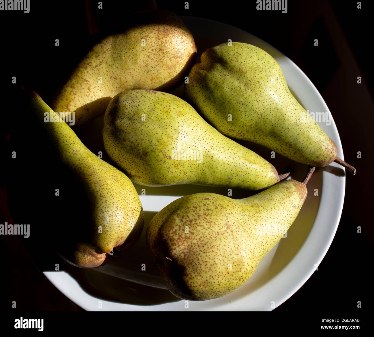 Pears rippening on a plate in the sun. Stock Photo