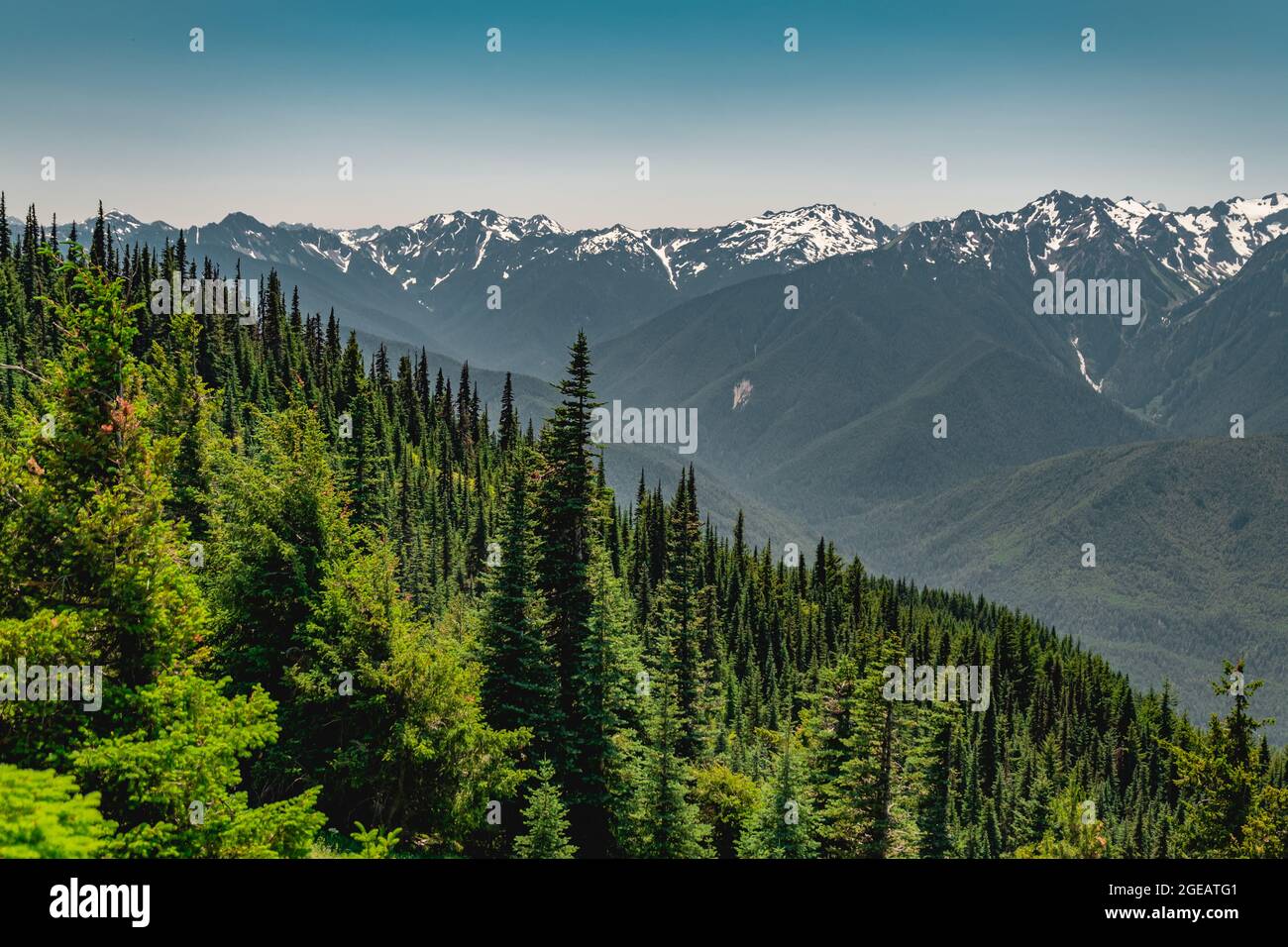 The Olympic mountains in summer, viewed from the Hurricane Hill trail in Olympic National Park. Stock Photo