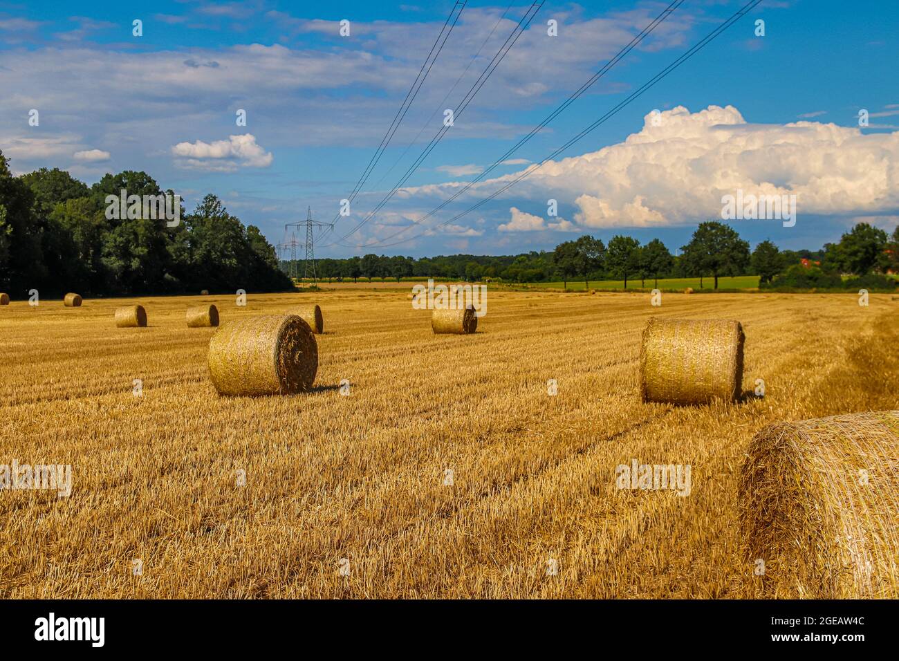 Straw bales after grain harvest Stock Photo - Alamy