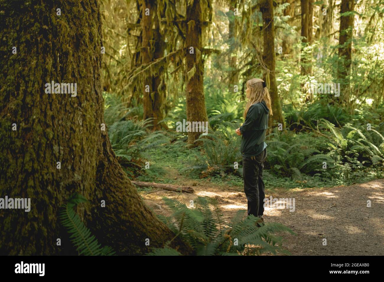 Young woman enjoying a quiet moment on a hike in the Hoh Rainforest in Olympic National Park. Stock Photo