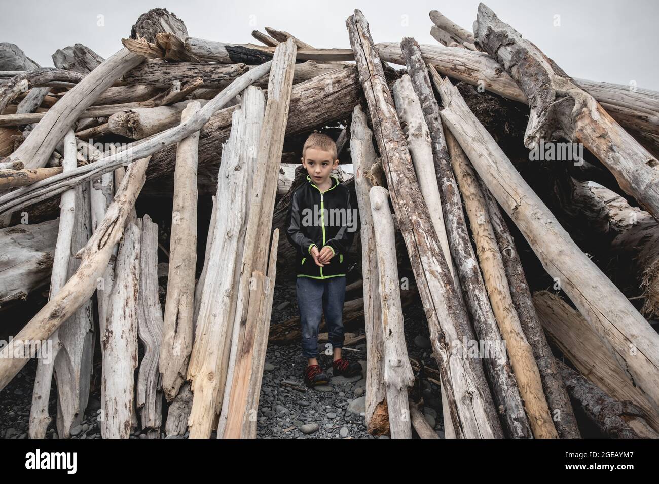 Young boy exploring driftwood shelters on Rialto Beach in Olympic National Park. Stock Photo