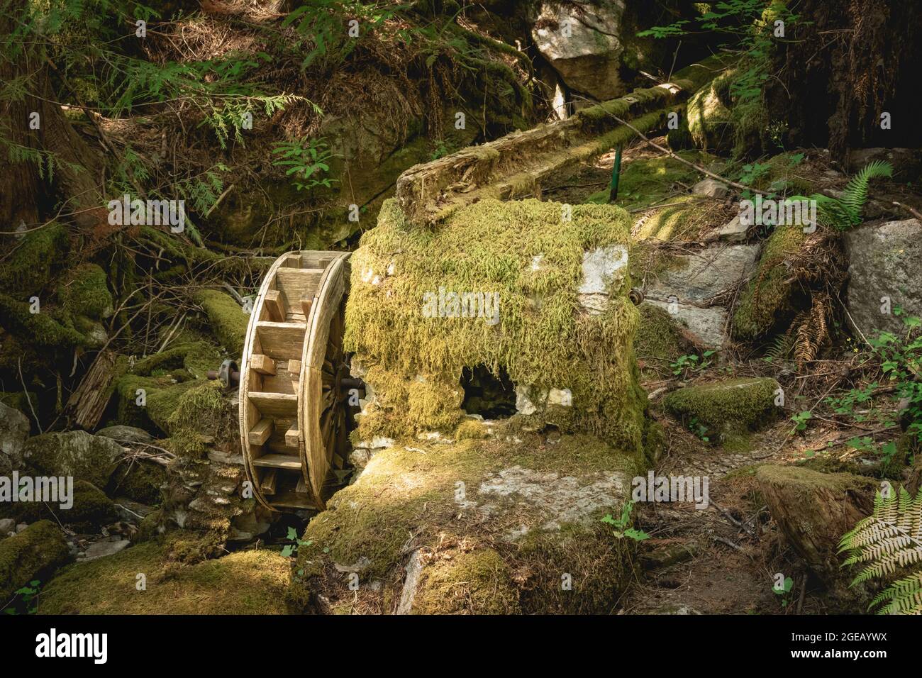 Water wheel on the Ladder Creek Falls Trail in North Cascades National Park. Stock Photo