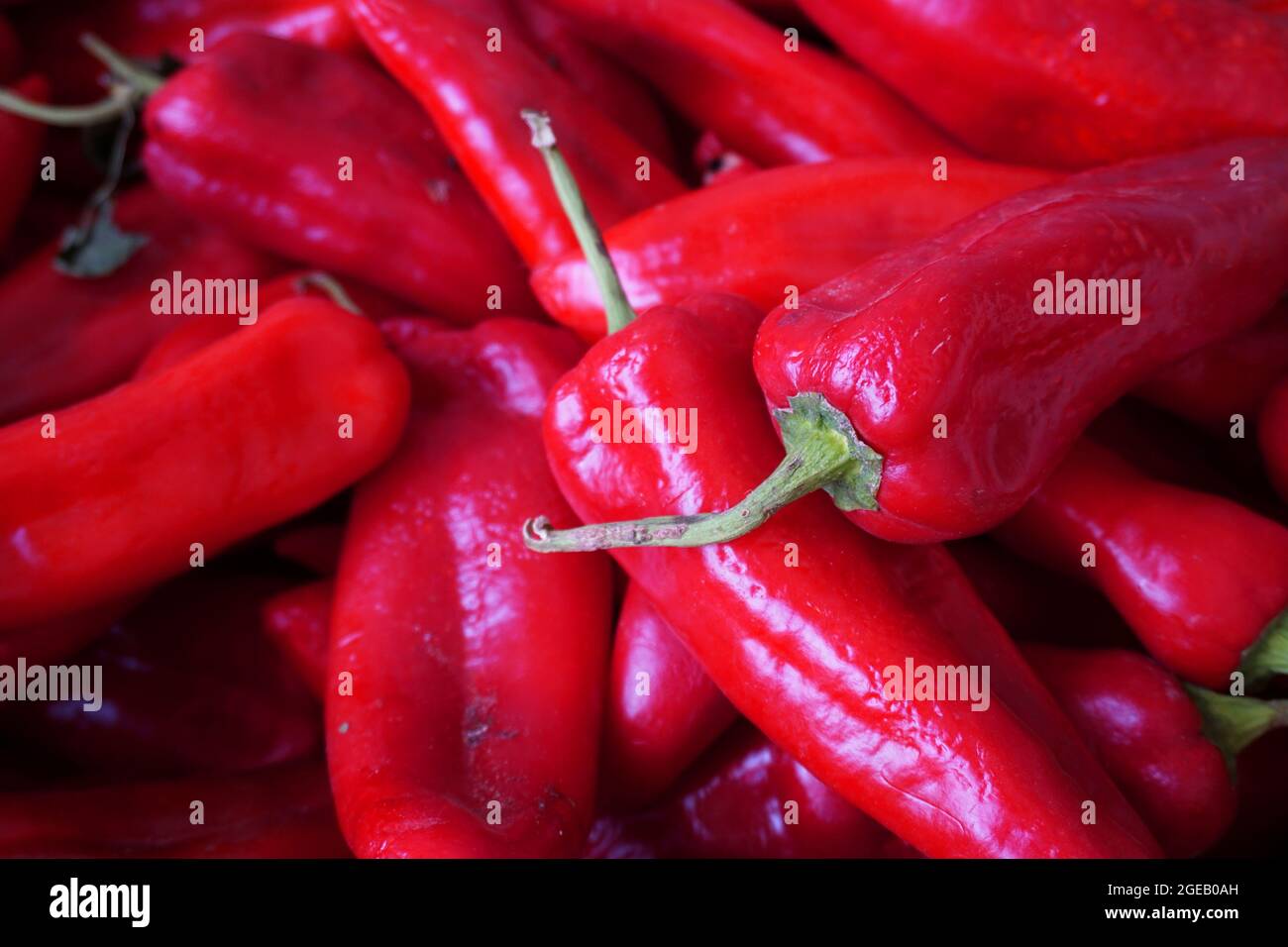 Red hot chili peppers vegetable,Street vegetable market Stock Photo - Alamy