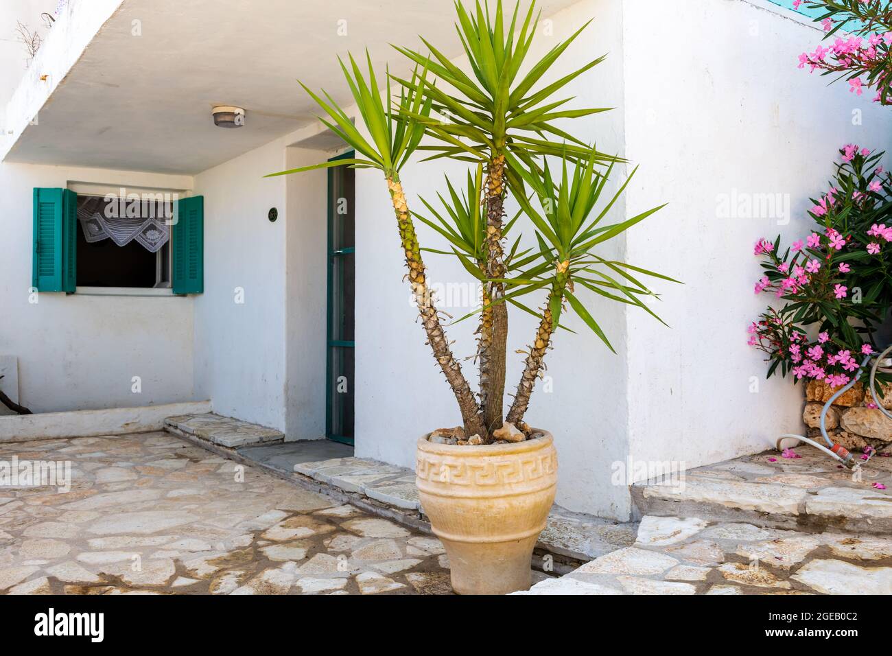 Facade of a old Greek village house with white washed wall and decorated with potted plant and flowers. Stock Photo