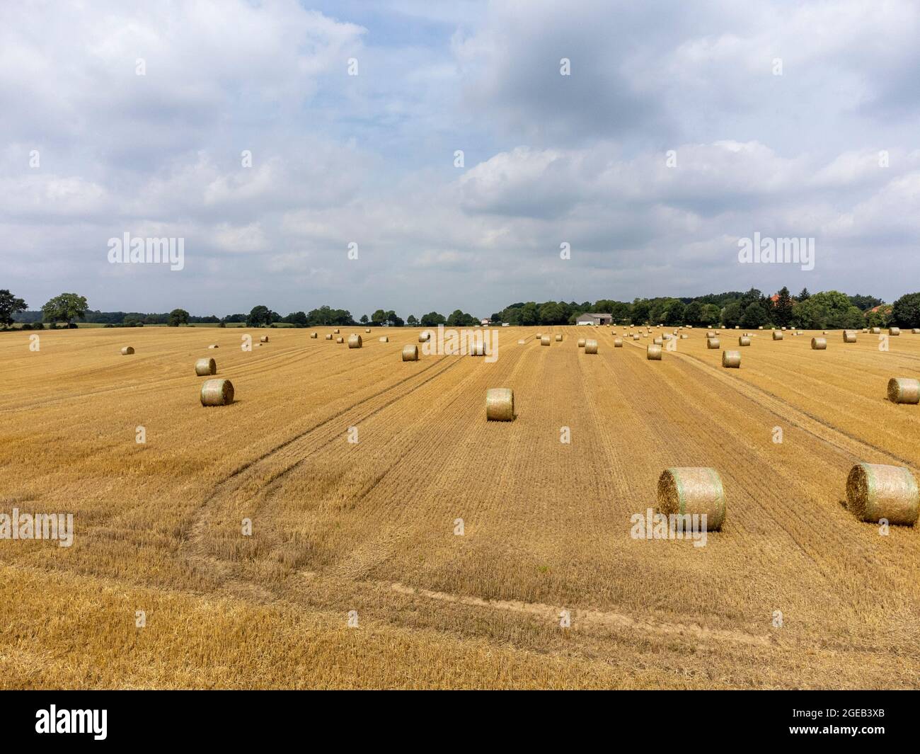 Strahballen auf einem abgeernteten Getreidefeld Stock Photo