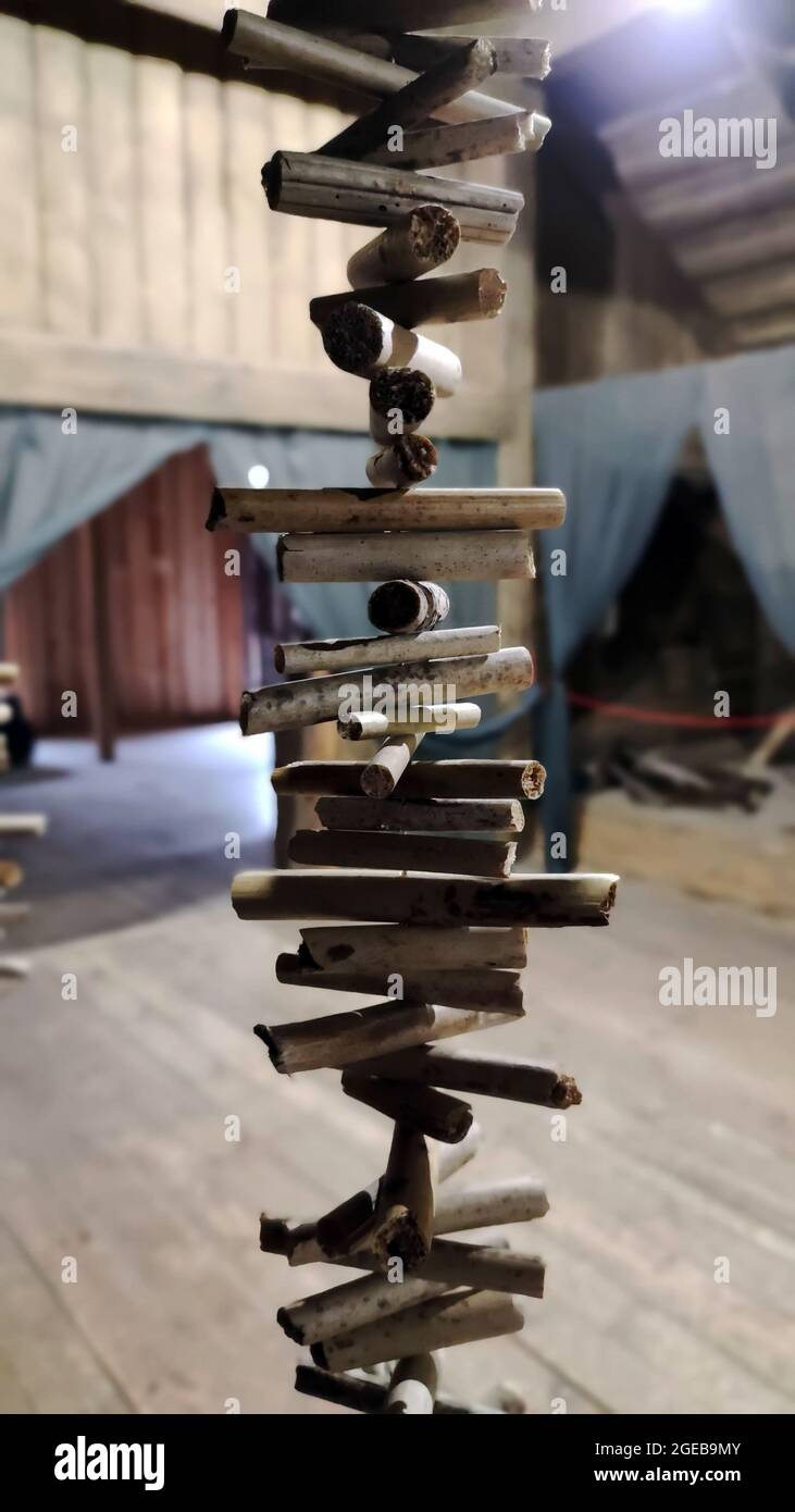 Valhalla ladders, modernly known as driftwood garlands, hanging