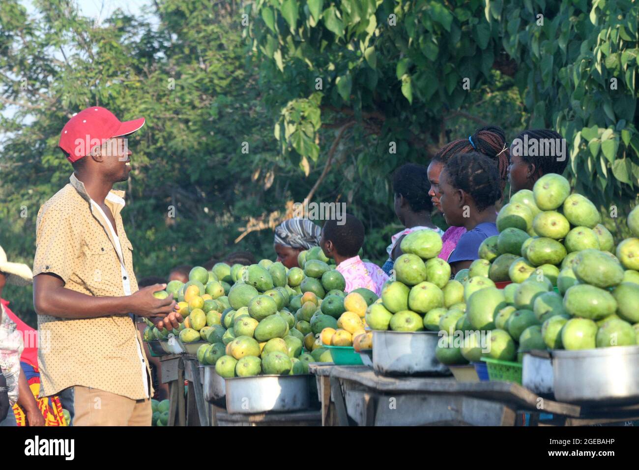A man is seen buying mangoes from roadside vendors on the main highway