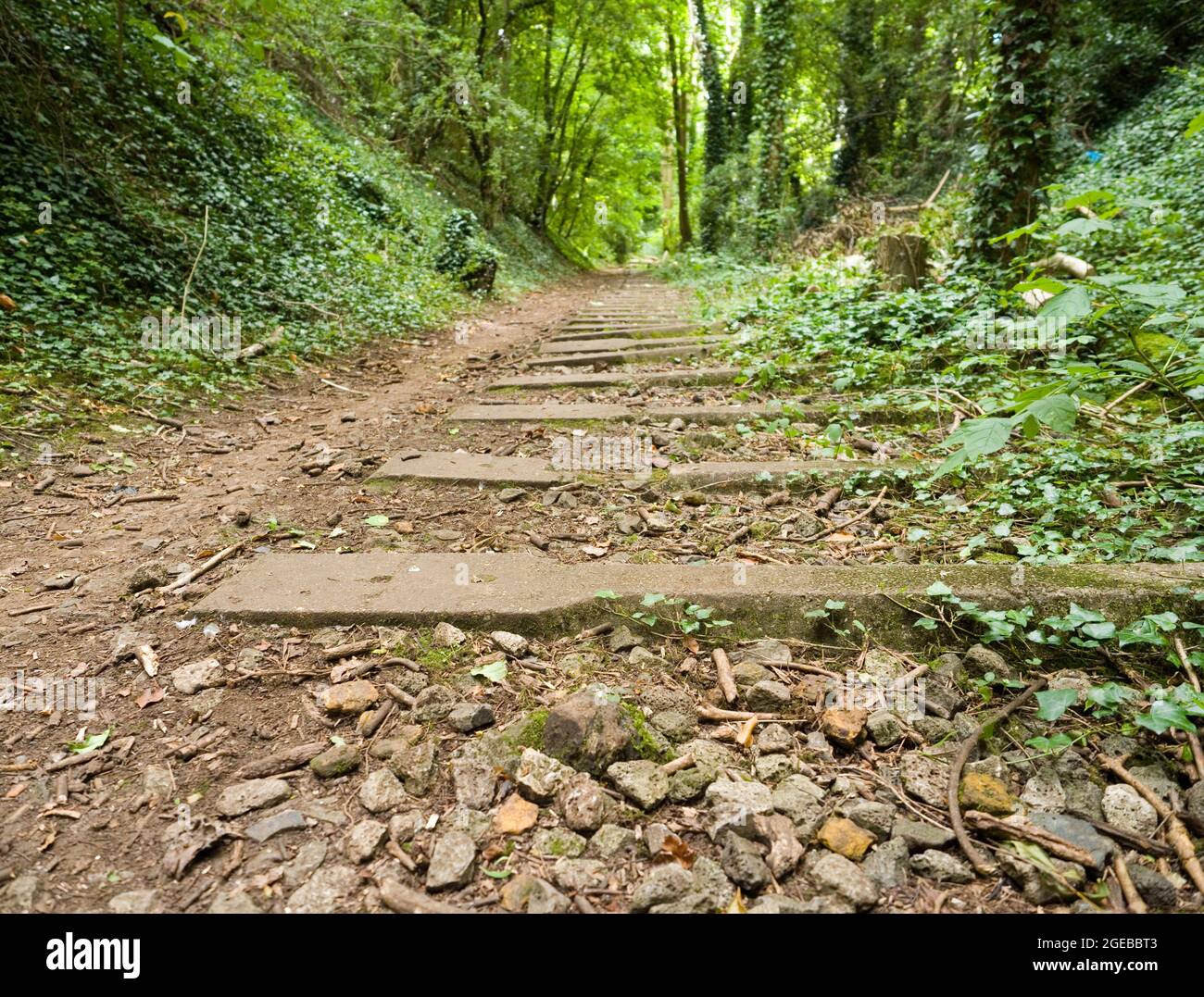 Abandoned railway tracks, Finedon Cally Banks Quarry, Northamptonshire