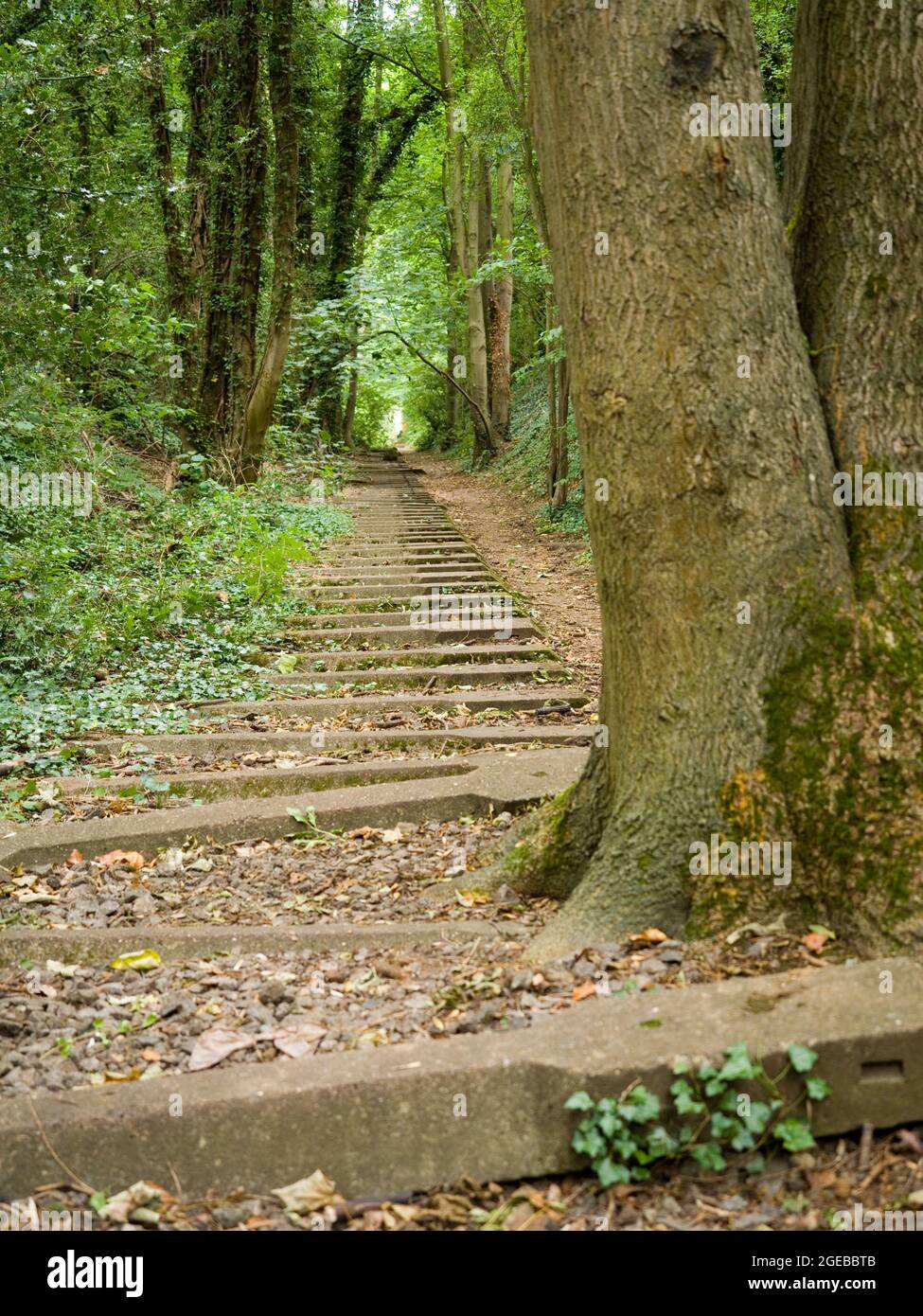 Abandoned railway tracks, Finedon Cally Banks Quarry, Northamptonshire