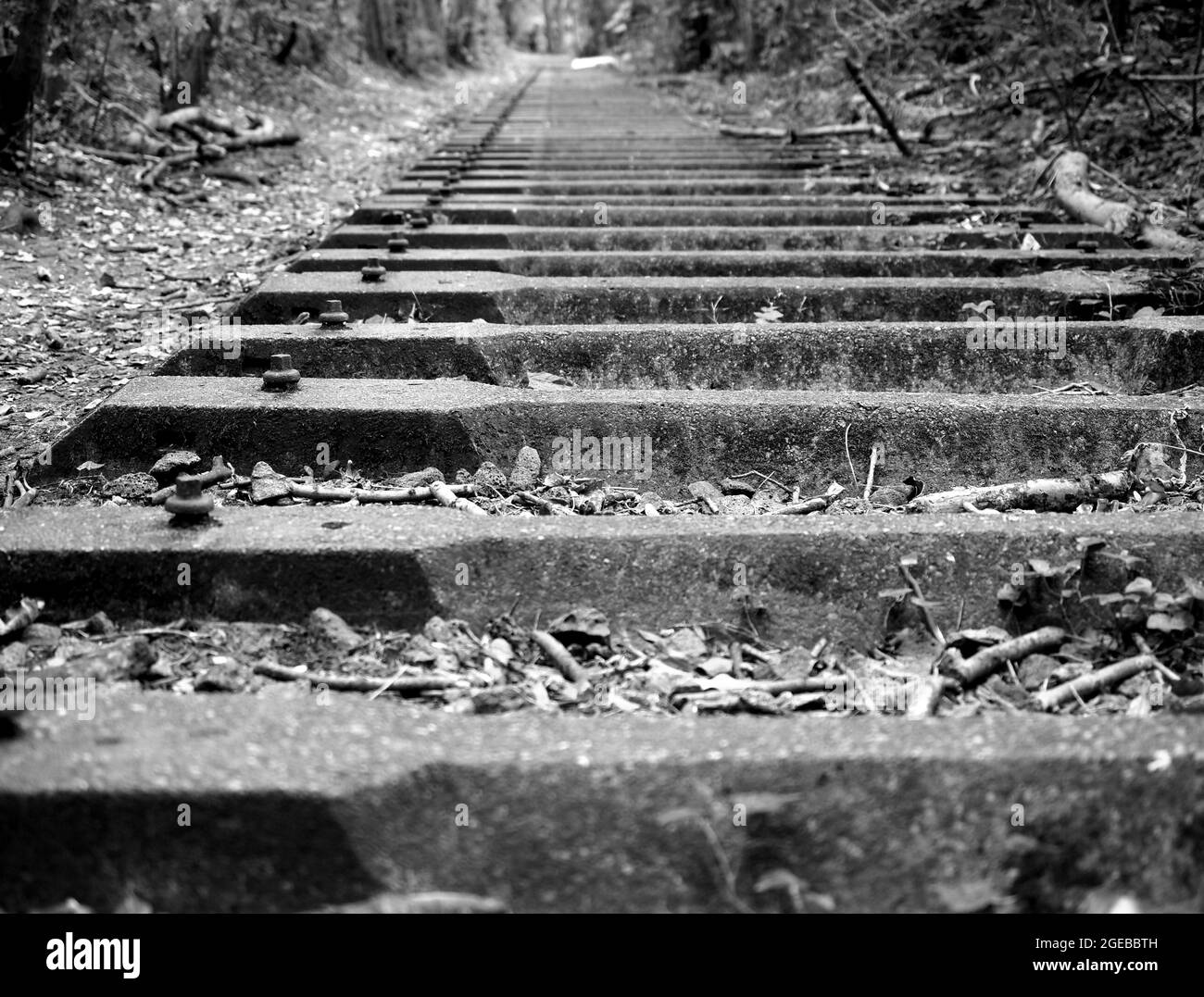 Abandoned railway tracks, Finedon Cally Banks Quarry, Northamptonshire, UK Stock Photo