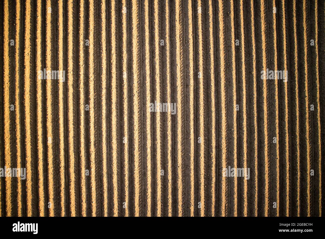 Reed View Top view of the drawing on a freshly cultivated reed Stock Photo - Alamy