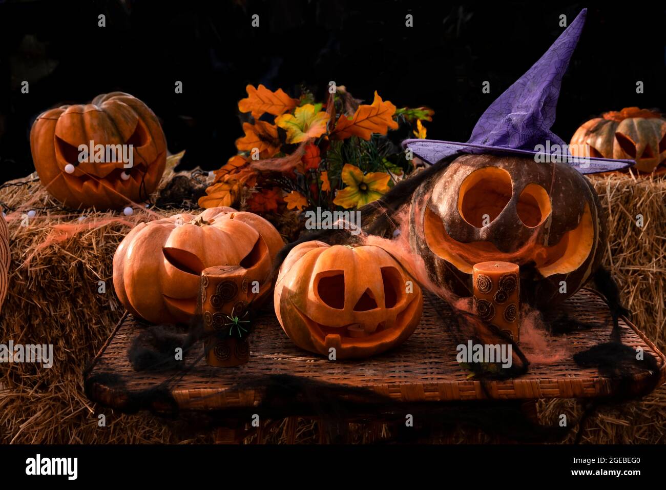 Halloween Many carved pumpkins lantern Jack for the holiday stands on a ...