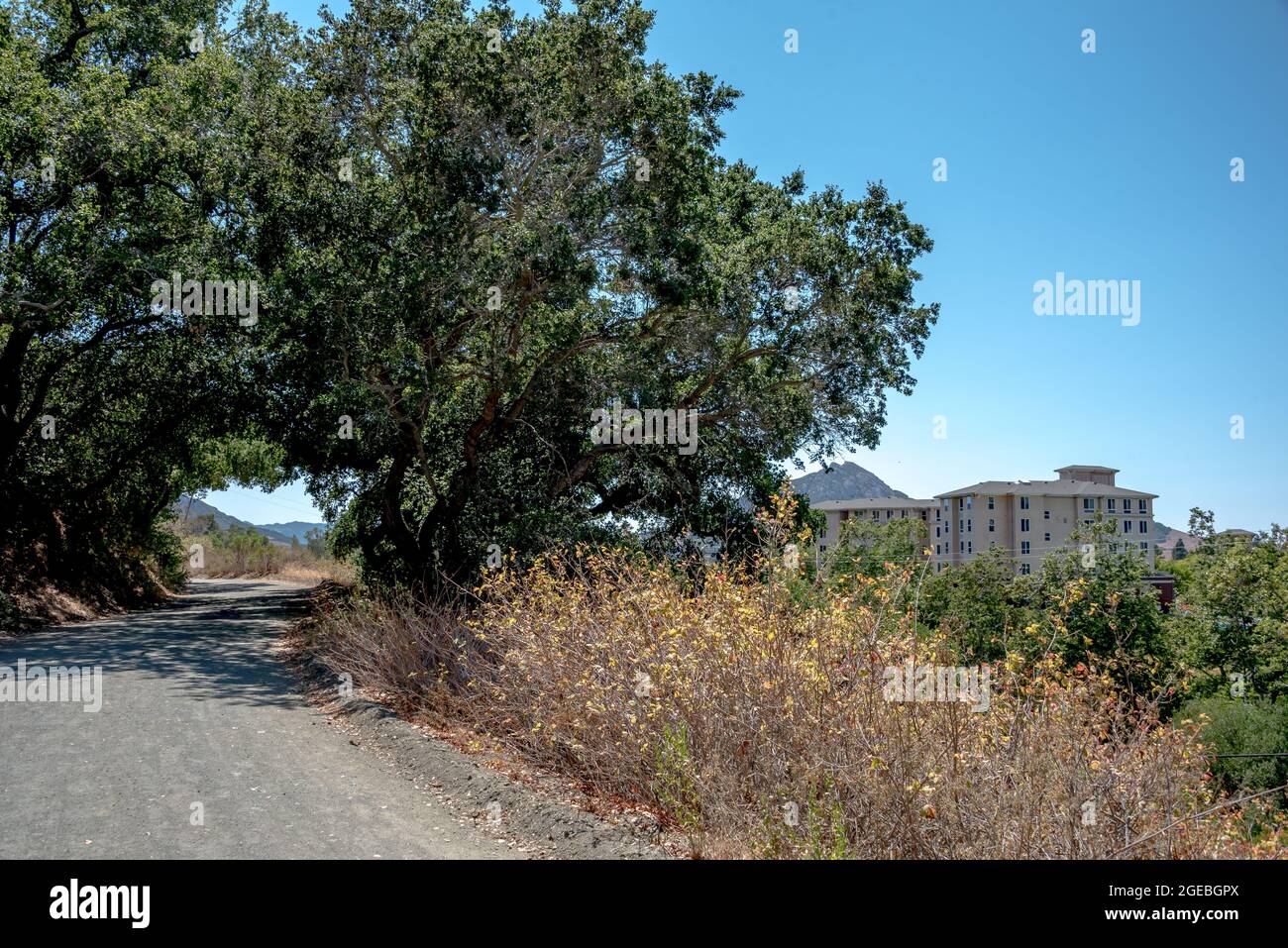 Poly Canyon Road leads student hikers, bikers, joggers into open space beside Cal Poly university campus in San Luis Obispo, California. Stock Photo