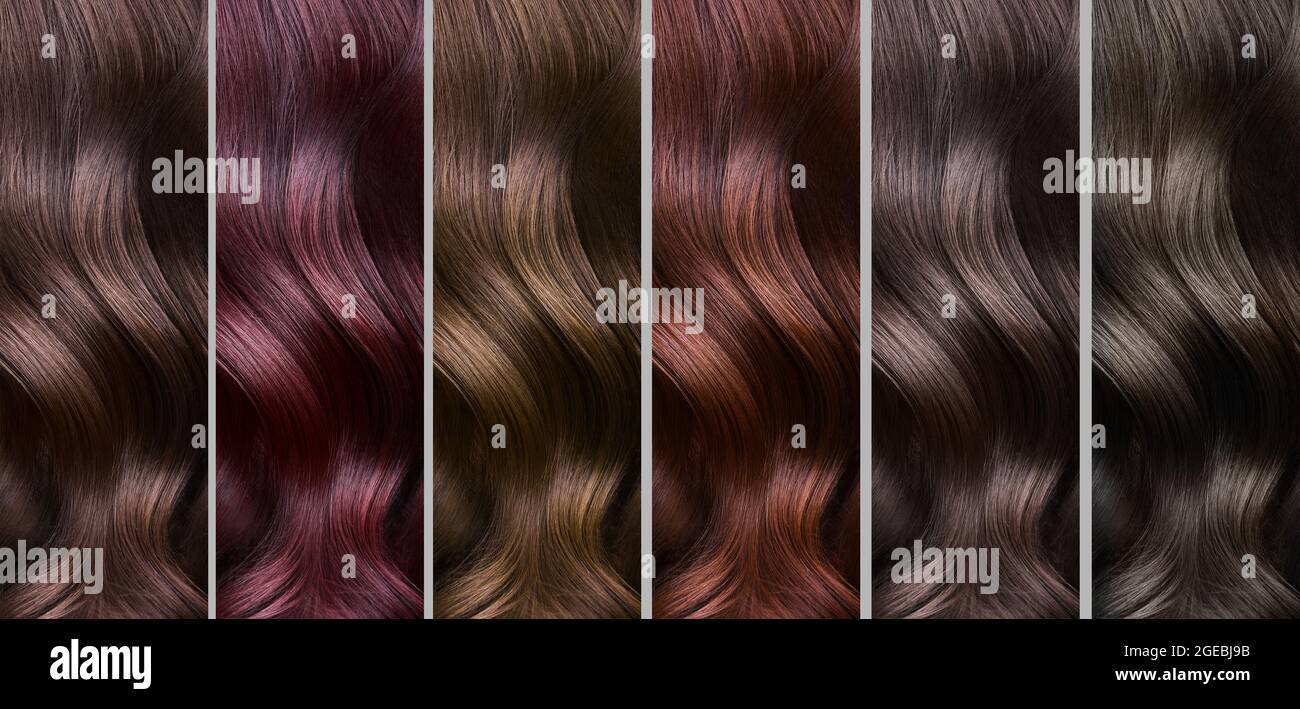Hair Collection, shades, set of six colors. straight hair Stock Photo ...