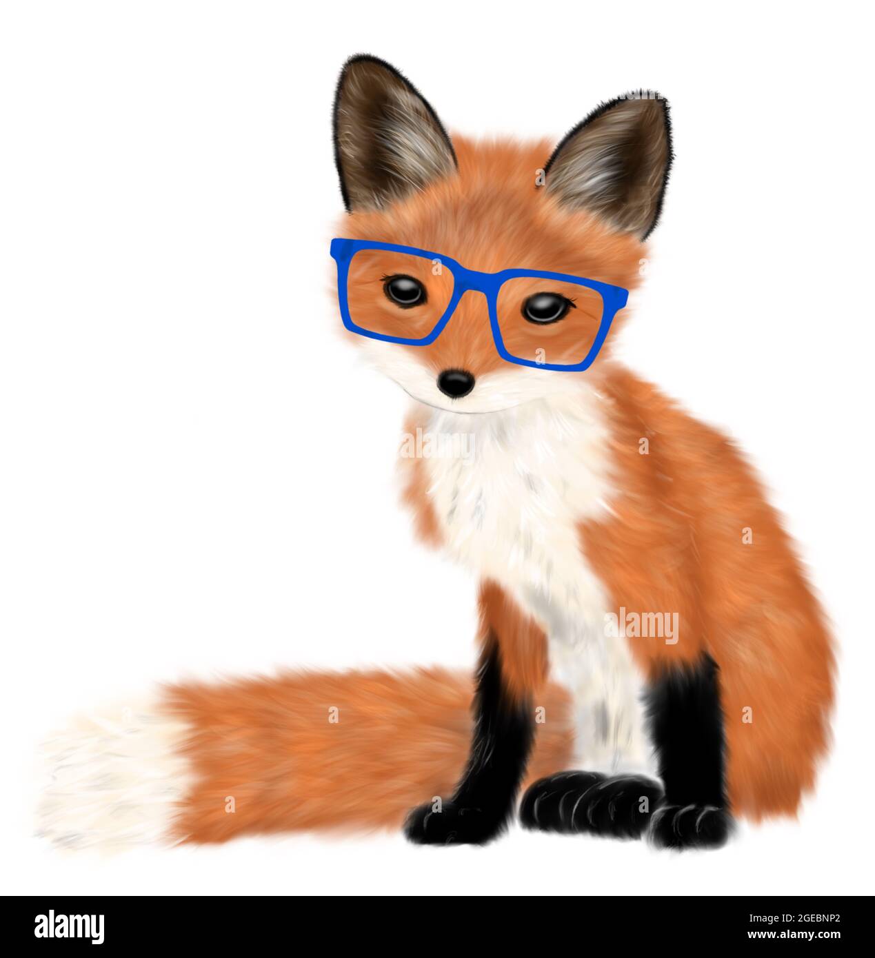 Cute Baby Fox Wearing Blue Glasses Stock Photo Alamy