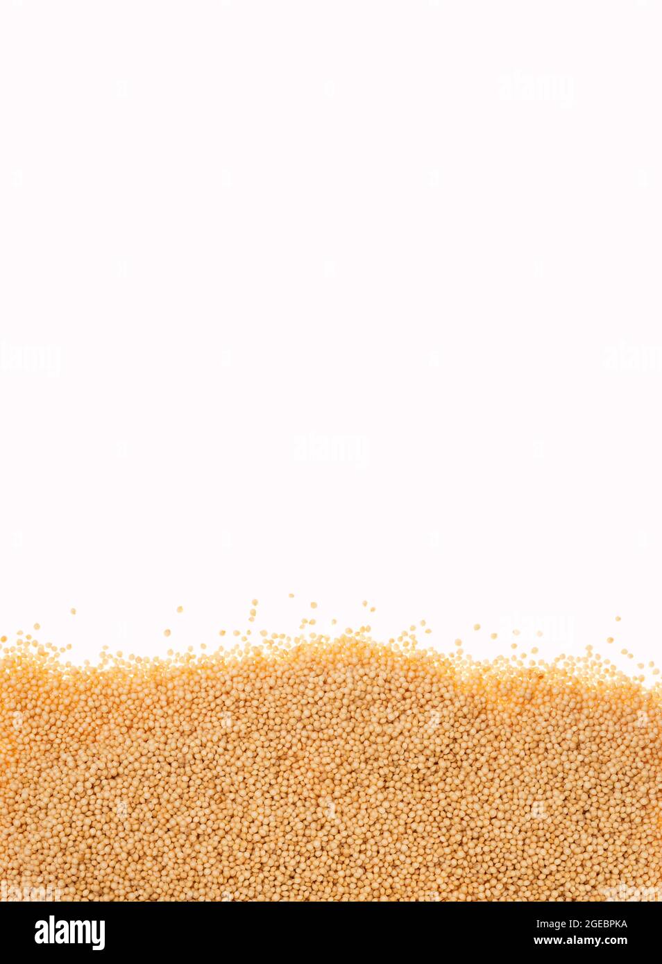 Amaranthus Popped amaranth, gluten free high protein cereal Stock