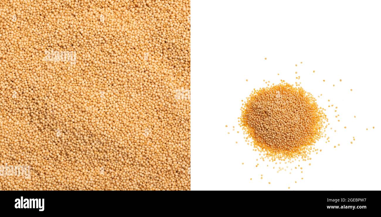 Amaranthus Popped amaranth, gluten free high protein cereal Stock