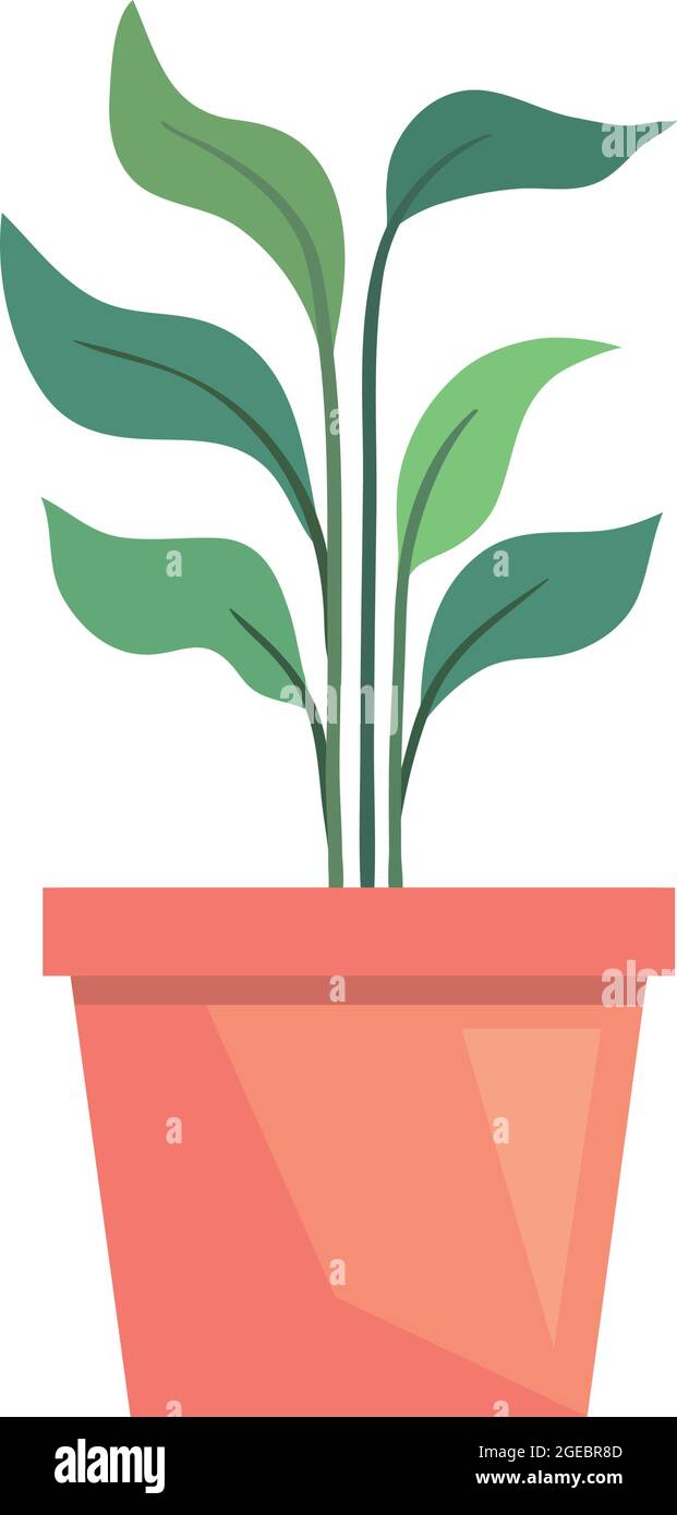 houseplant in ceramic pot Stock Vector Image & Art - Alamy