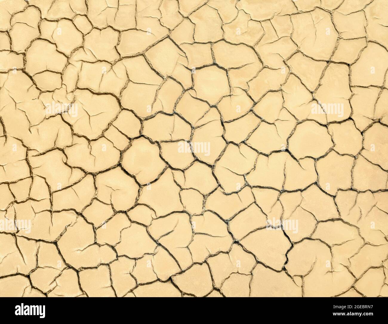 Cracked soil of barren land. Wasteland texture close up Stock Photo