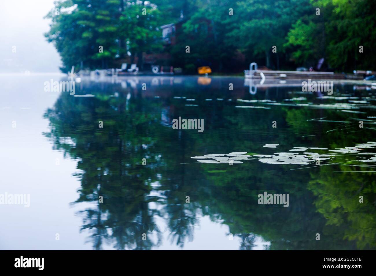 foggy lakeside, quiet calm blue water, with a dock sitting in the