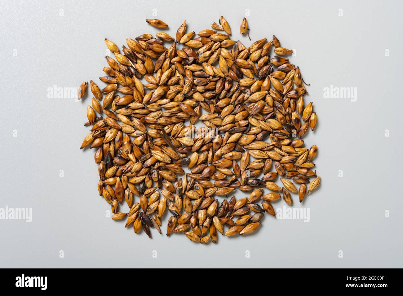 top view herb JiaoMaiYa or Hordei Fructus Germinatus Praeparatus or Stir-Heating to brown Barley Sprout Stock Photo