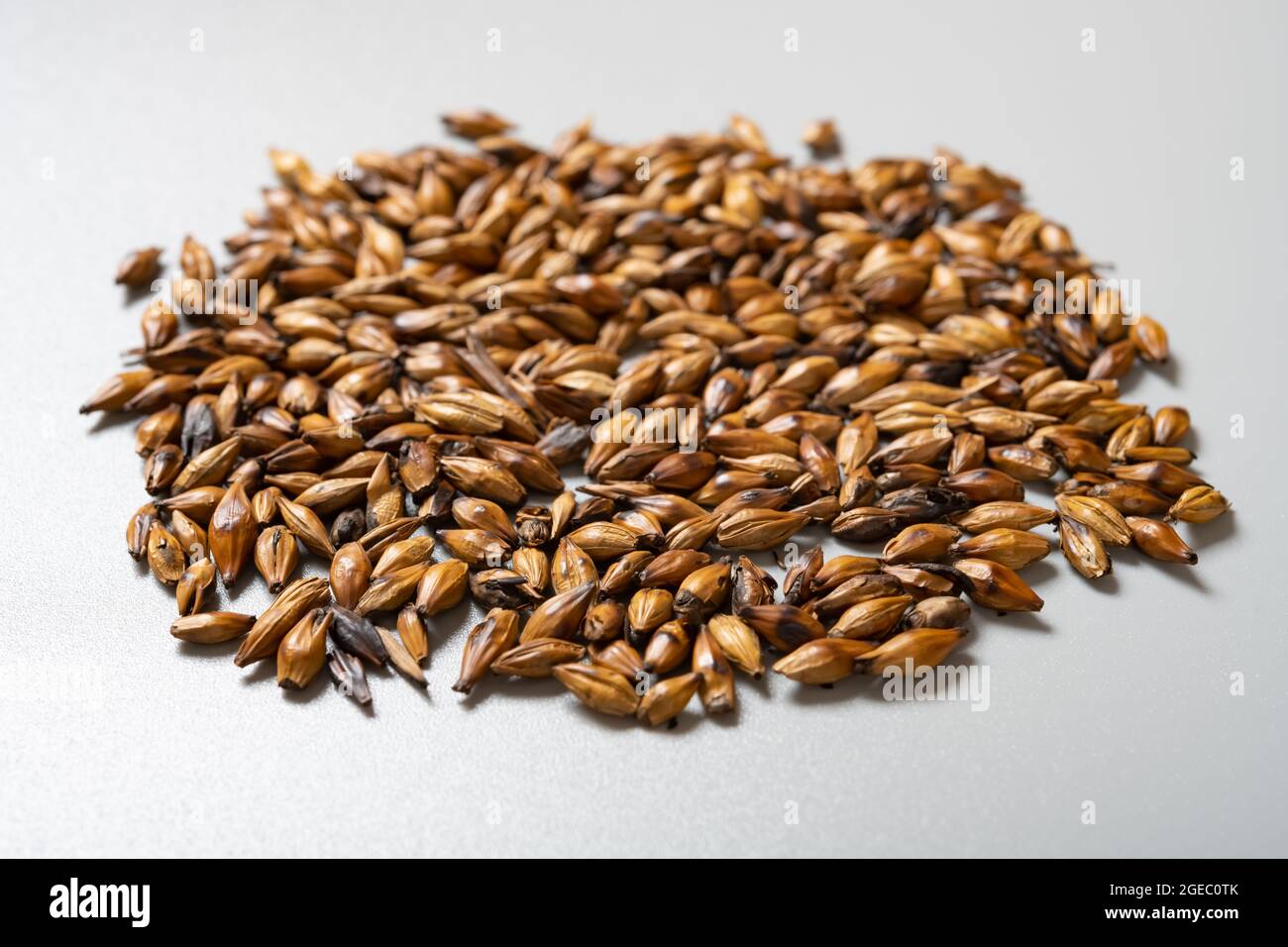 angle view herb JiaoMaiYa or Hordei Fructus Germinatus Praeparatus or Stir-Heating to brown Barley Sprout Stock Photo