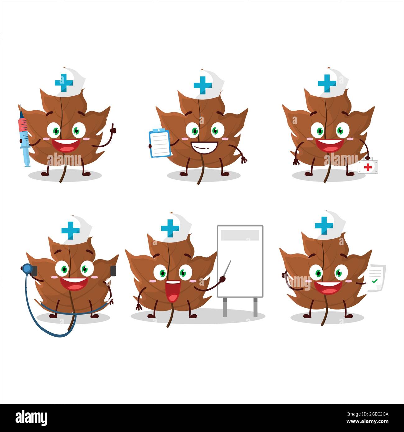Doctor profession emoticon with maple dried leaf cartoon character. Vector illustration Stock Vector
