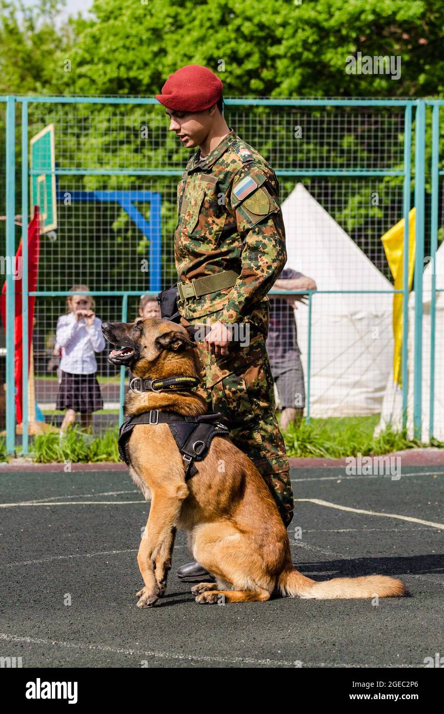 Russian military dogs sales